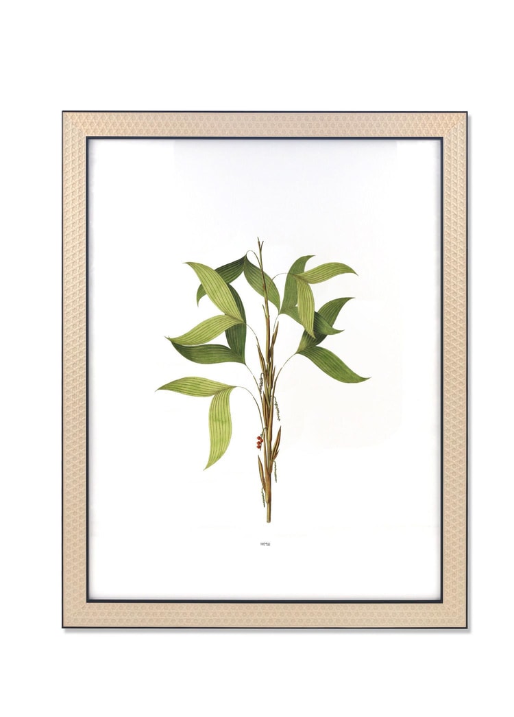 Vimini Fotoğraf Çerçevesi Siyah 40x50 cm