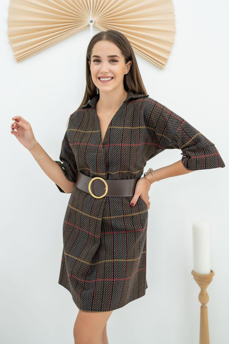 Brown Striped Mini Dress With Belt