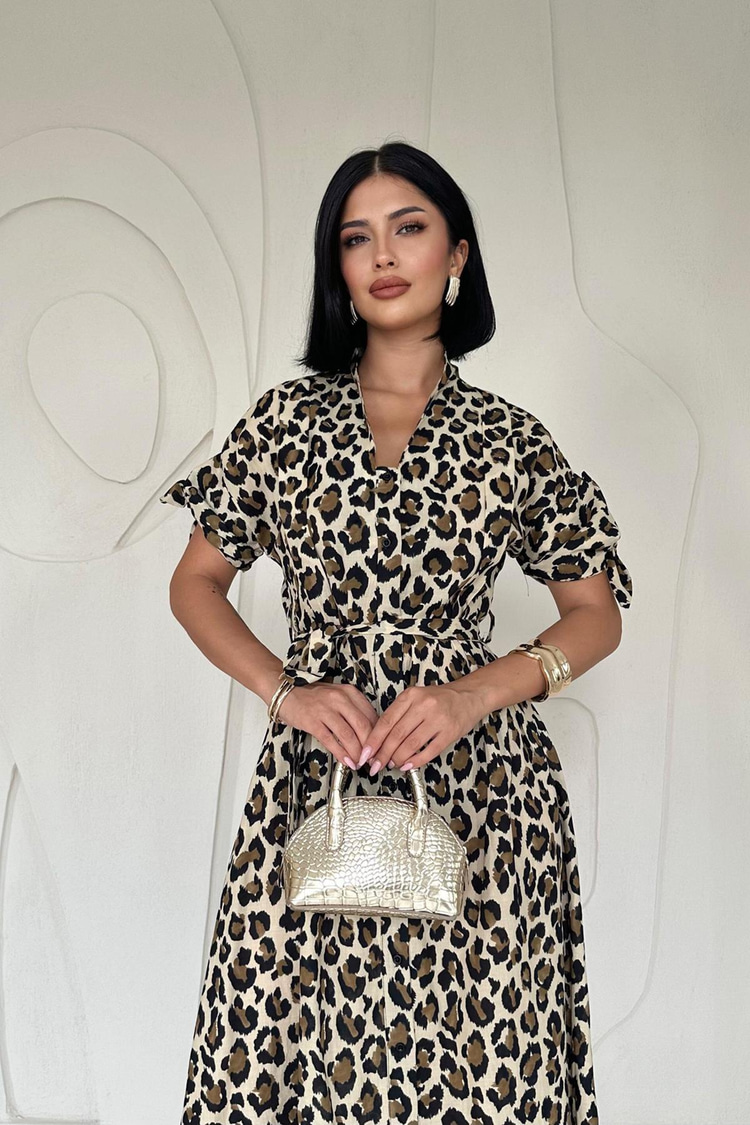 Leopard Print Belted Dress