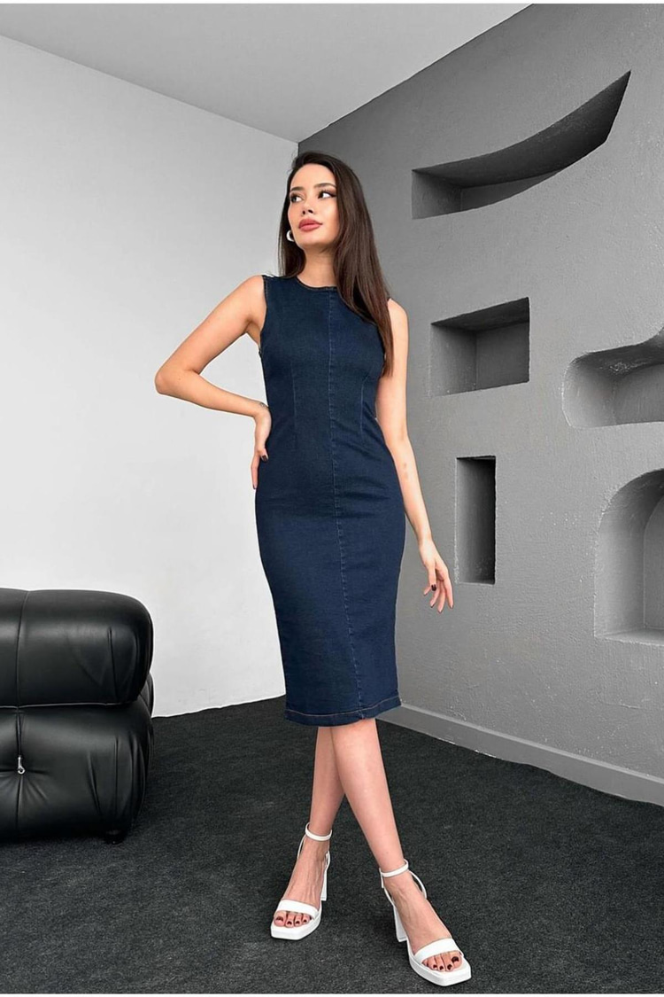 Blue Denim Dress With Back Zipper