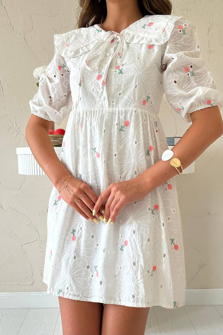 Pink Embroidered Dress With Peter Pan Collar