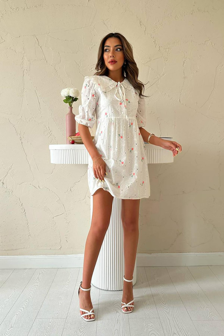 Pink Embroidered Dress With Peter Pan Collar