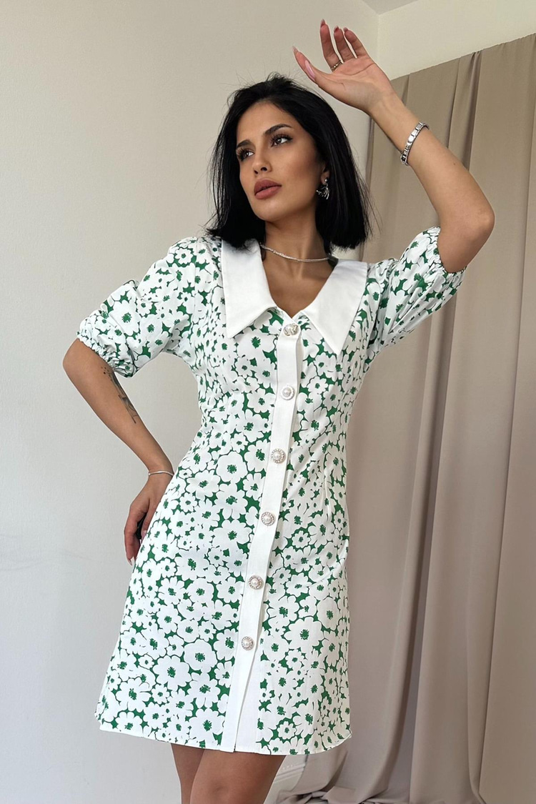 Green Apron Collar Poplin Dress