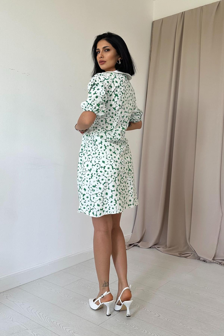 Green Apron Collar Poplin Dress