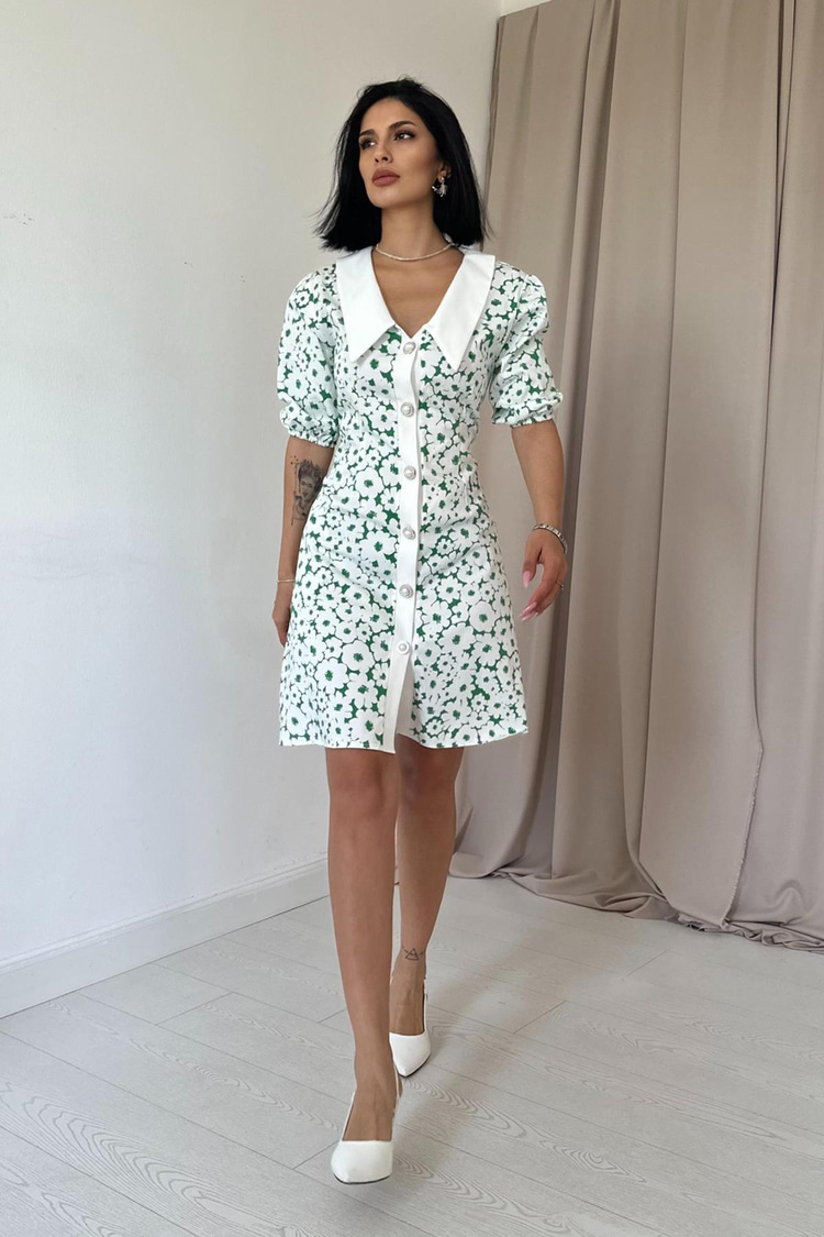 Green Apron Collar Poplin Dress