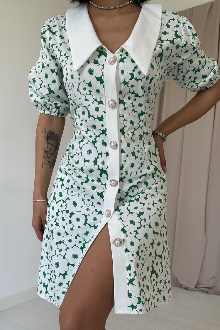 Green Apron Collar Poplin Dress