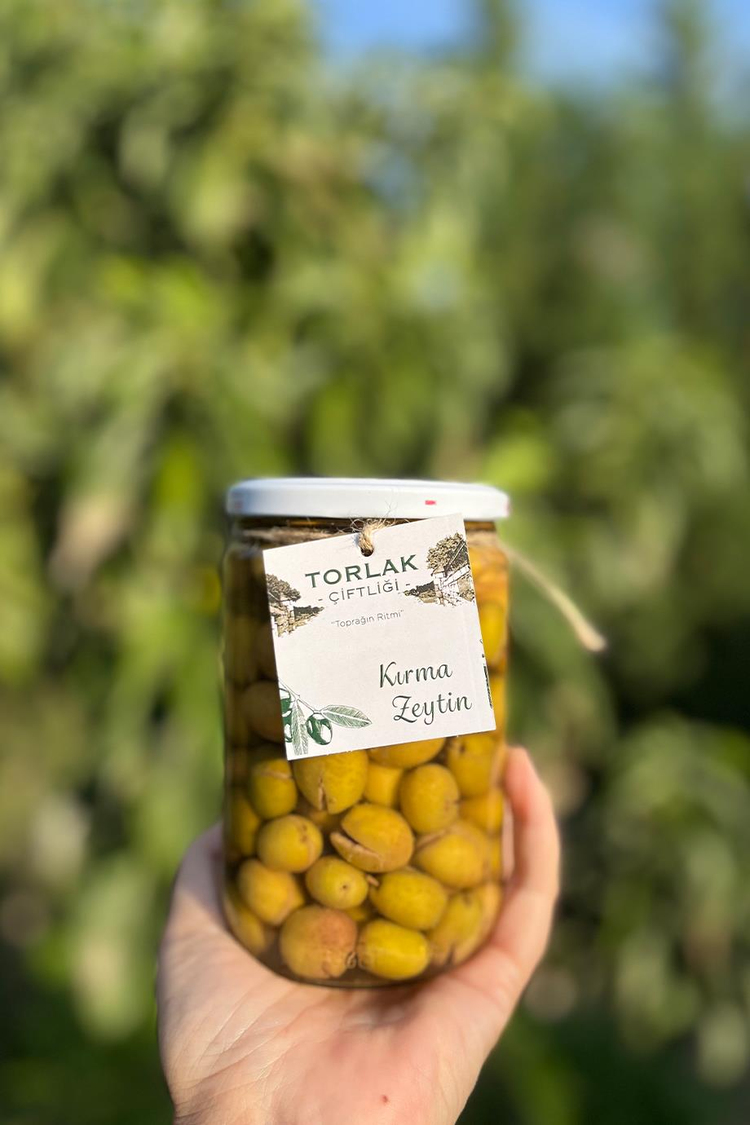 Torlak Çiftliği Kırma Zeytin