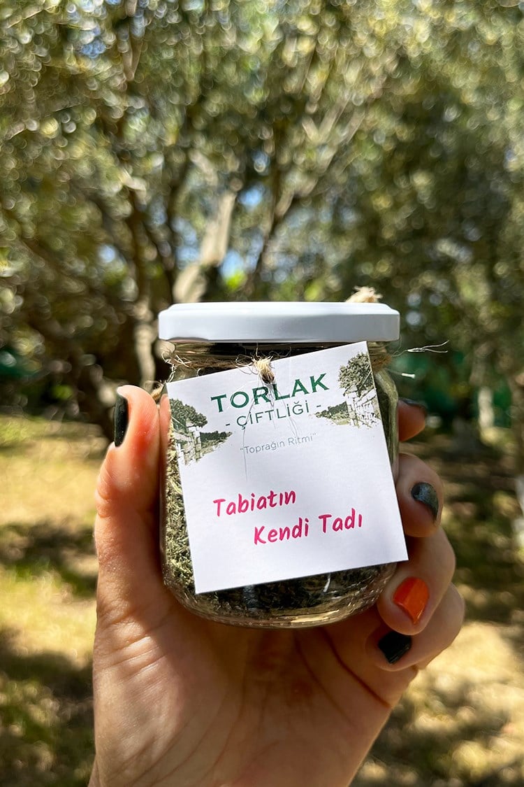 Torlak Çiftliği Kuru Nane