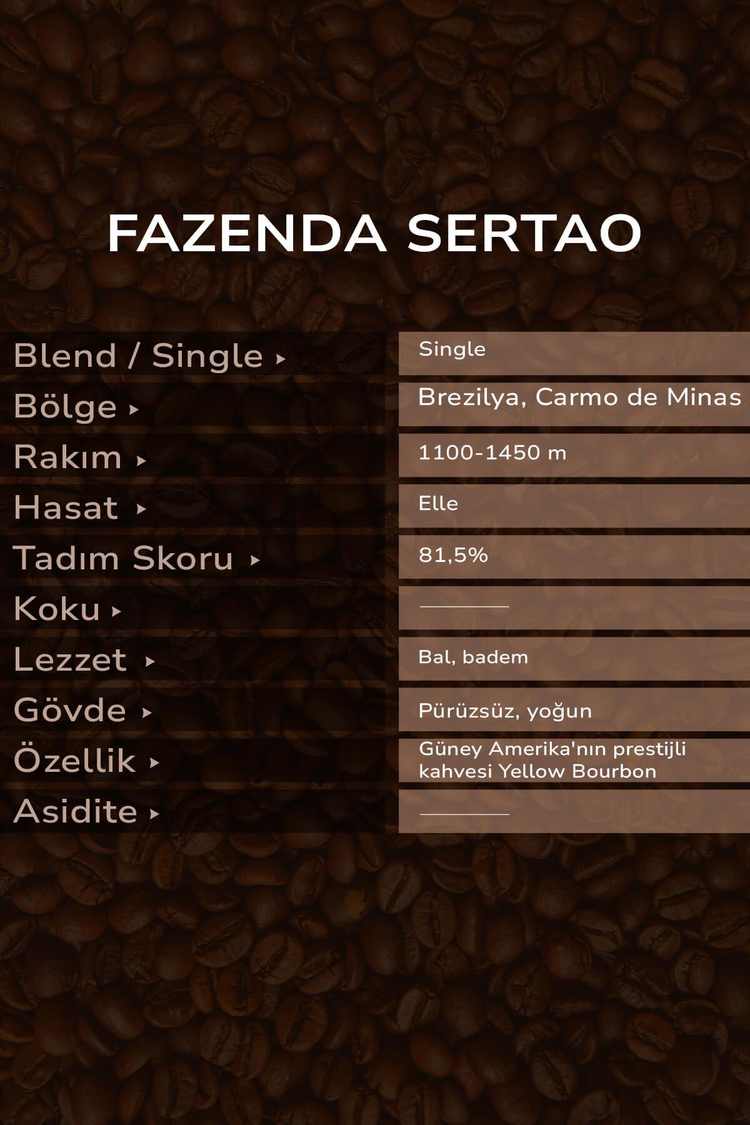 Brezilya Fazenda Sertao Çekirdek Kahve 250 g