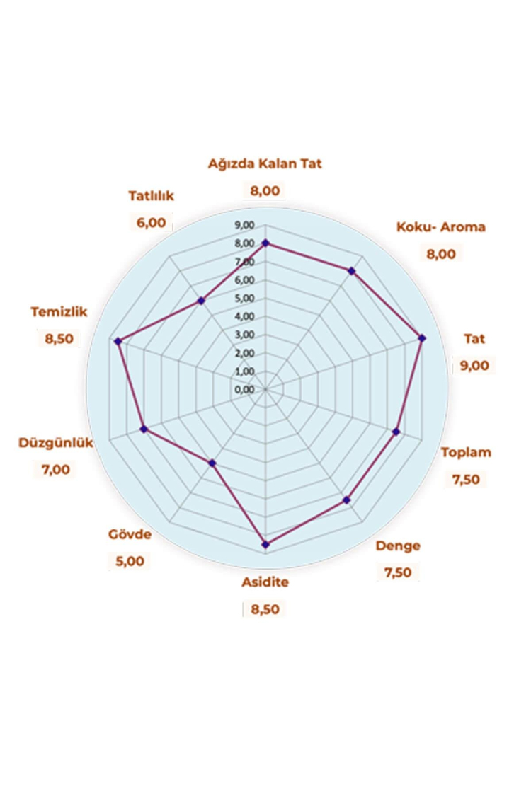 Klasik Blend Filtre Kahve 500 g (Öğütülmüş)