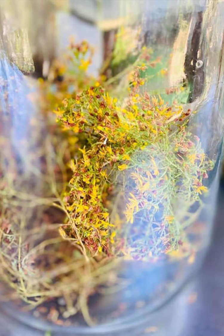 Torlak Çiftliği  5 Al 4 Öde Sarı Kantaron Yağı