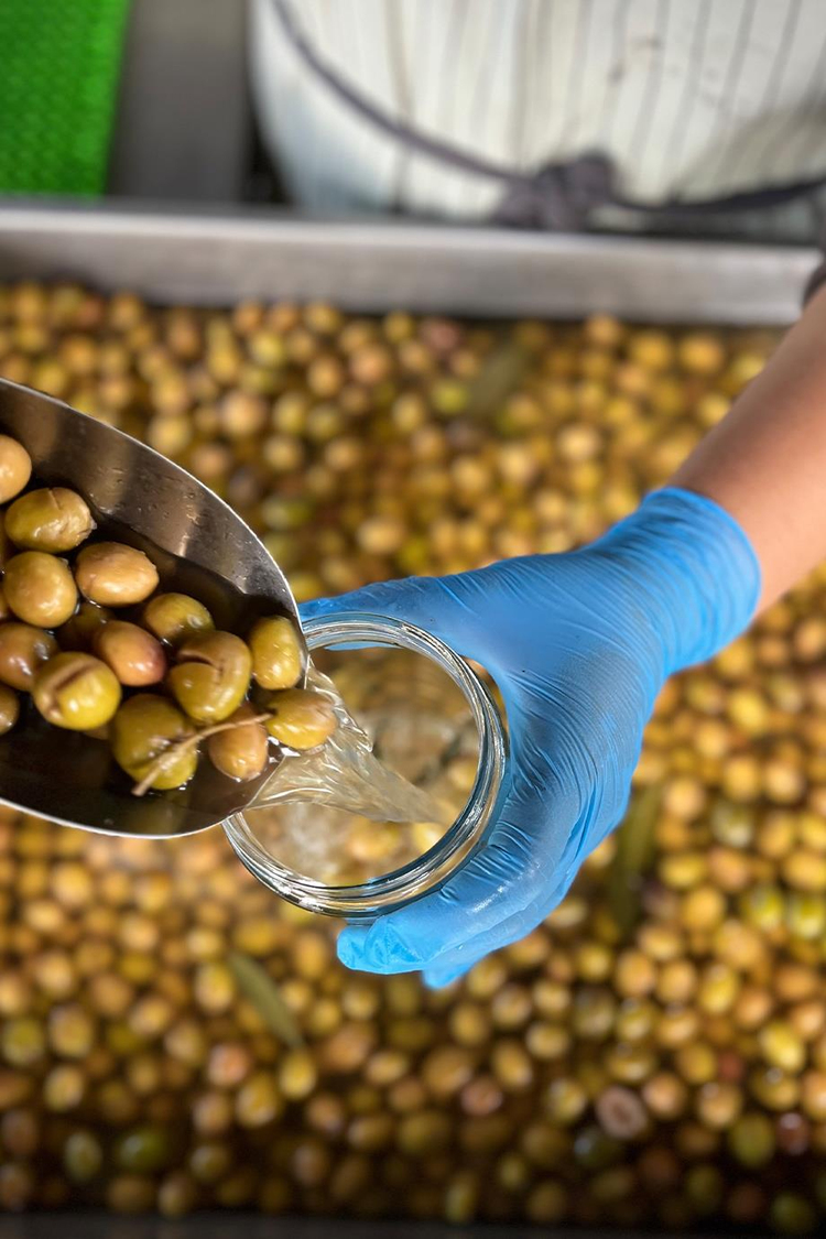 Torlak Çiftliği Kırma Zeytin