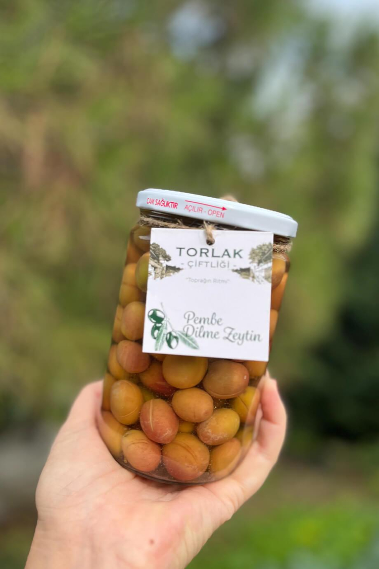 Torlak Çiftliği Pembe Dilme Zeytin