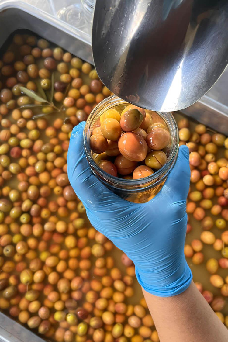 Torlak Çiftliği Pembe Dilme Zeytin