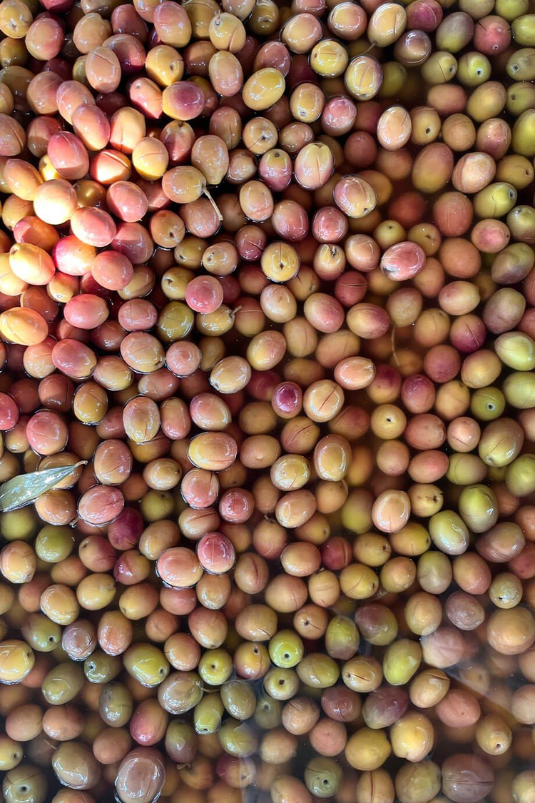 Torlak Çiftliği Pembe Dilme Zeytin