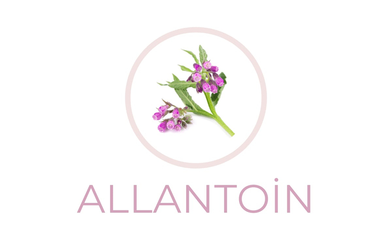 Güzellik ve Bakımda Doğal Bir Bileşen: Allantoin