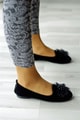 Ev Babeti