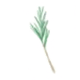 Provitamin B5