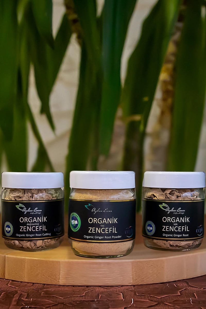 Kök Organik Zencefil 60 G