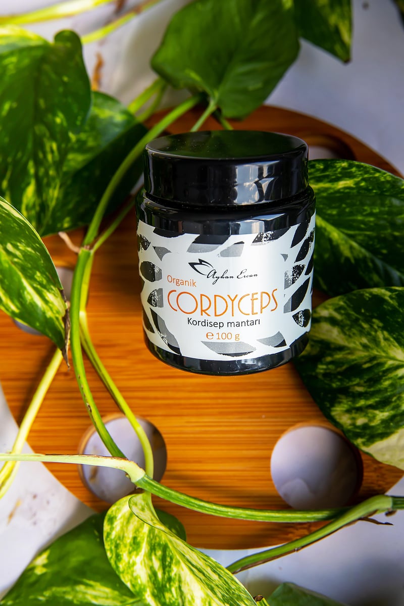 Organik Cordyceps Mantarı 100 G