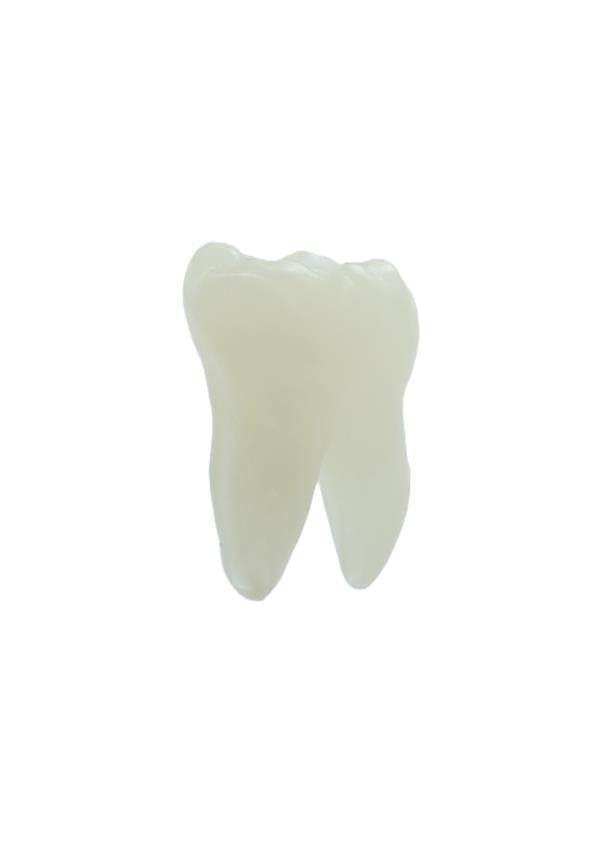 Edudent Endoprep Kronlu Endodontik Diş