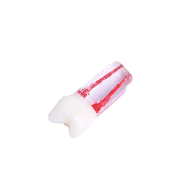 Omega Endo Kronlu Diş Premolar