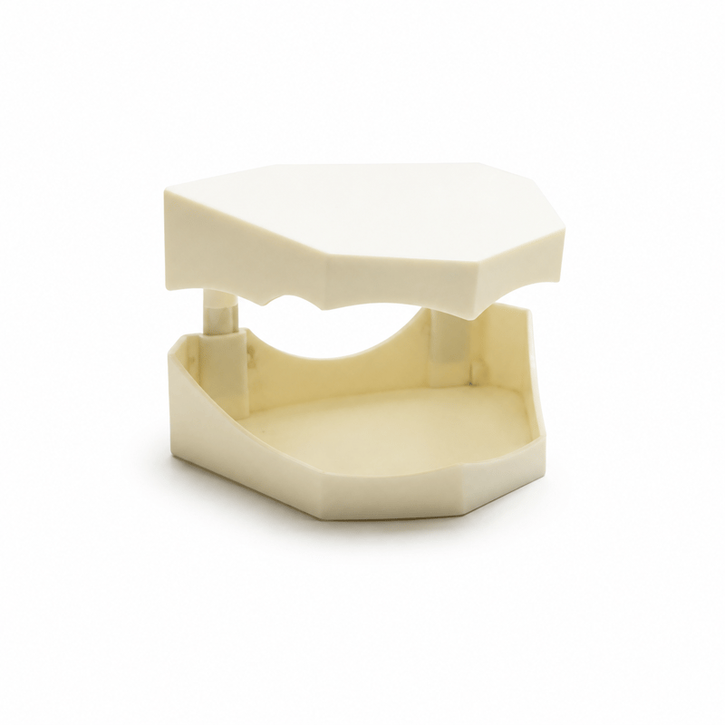 Model Base Orto Takım