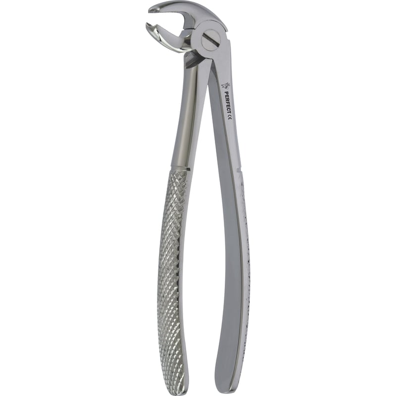 Perfect Yetişkin Davye Alt Molar Fig 22