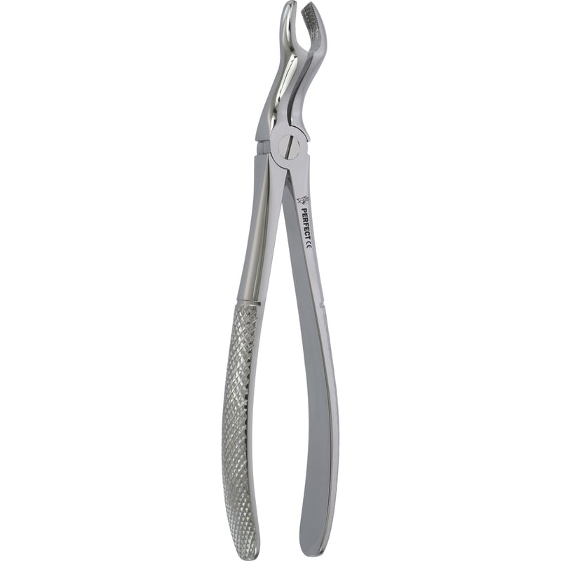 Perfect Yetişkin Davye Üst 20 Yaş Fig 67A