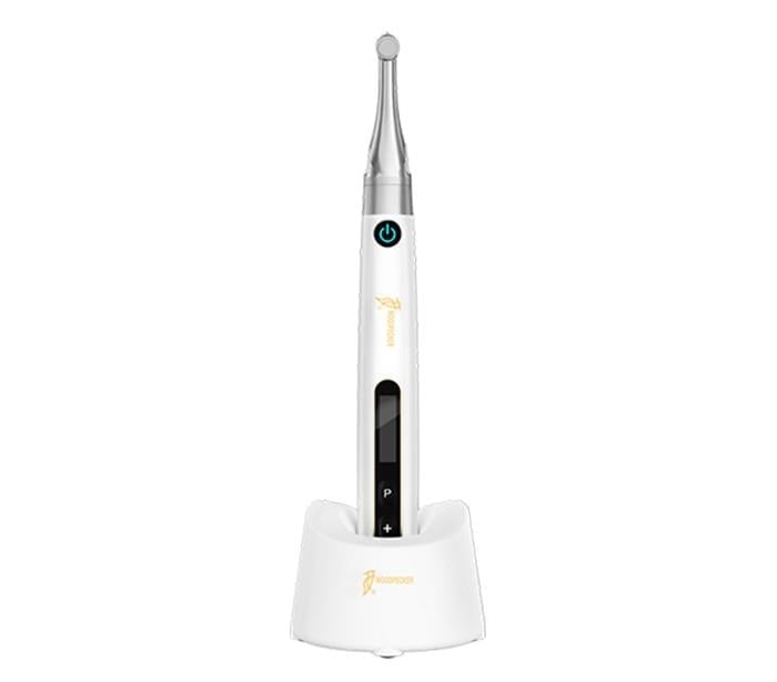 Woodpecker EndoPace Endomotor