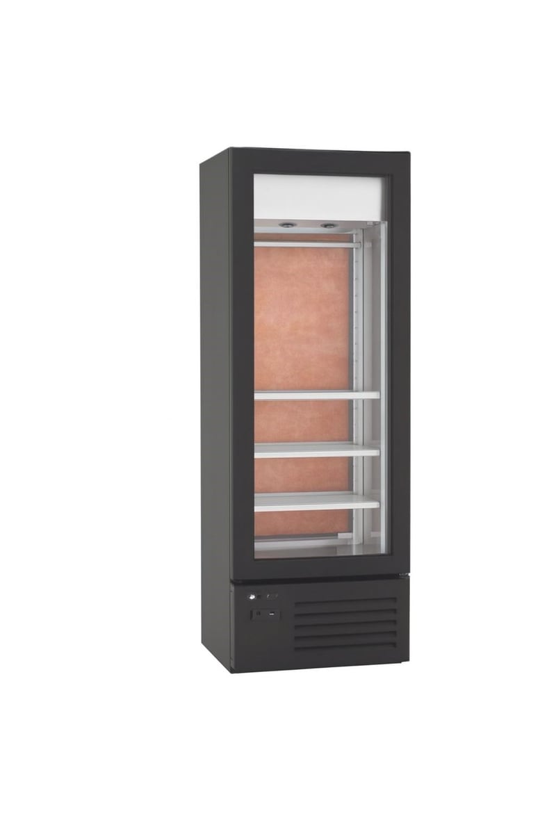 Frenox  65x60x180 cm.600 lt.Dry Age Buzdolabı DR4-SY-R290