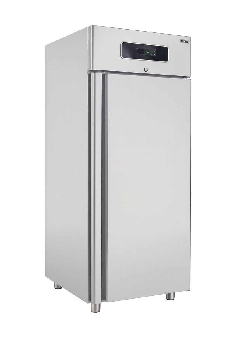 Frenox Snack Dik Tip Derin Dondurucu BL6-R290