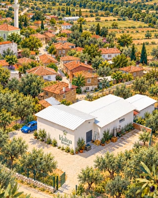 Bayramiç'teki fabrikamız ve zeytinlikler