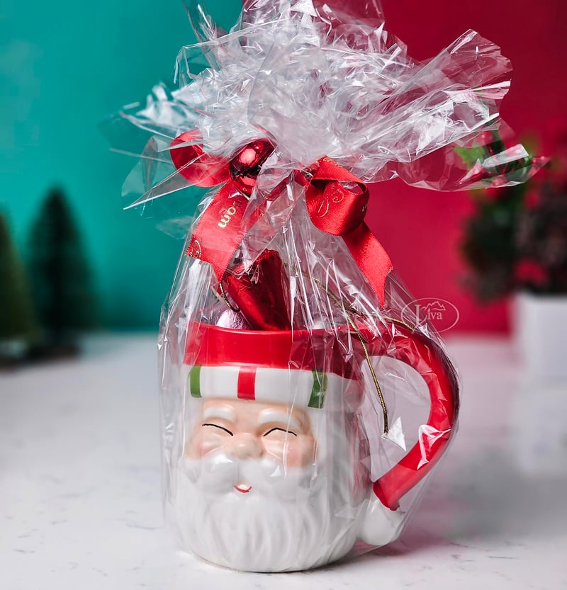 Liva Noel Baba Sürpriz Kupası