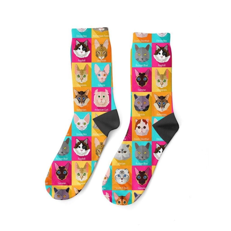 CASSİDOSHOES Çok Renkli Kedi Türleri  Desenli Goby Uzun Çorap GCOR6