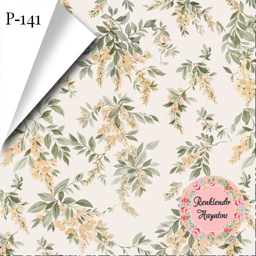 P-141Desen P-141