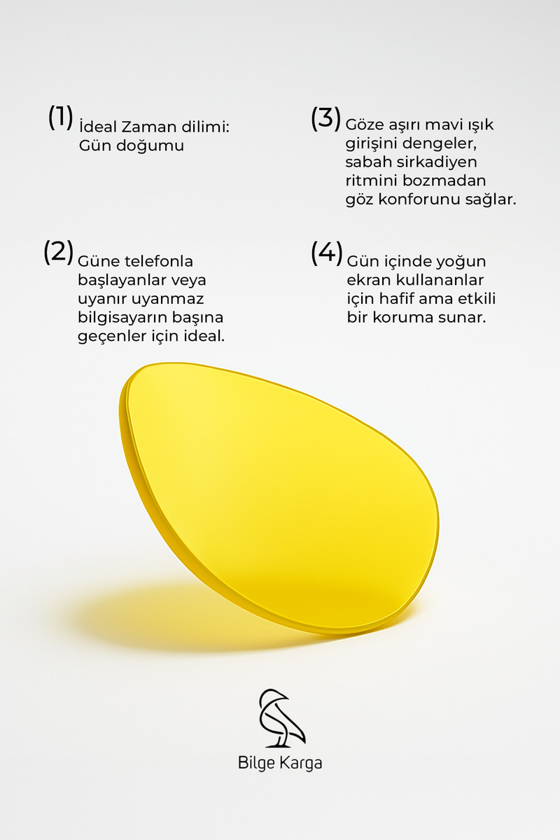 Ashilla Black Yellow Sirkadiyen Denge Gözlüğü