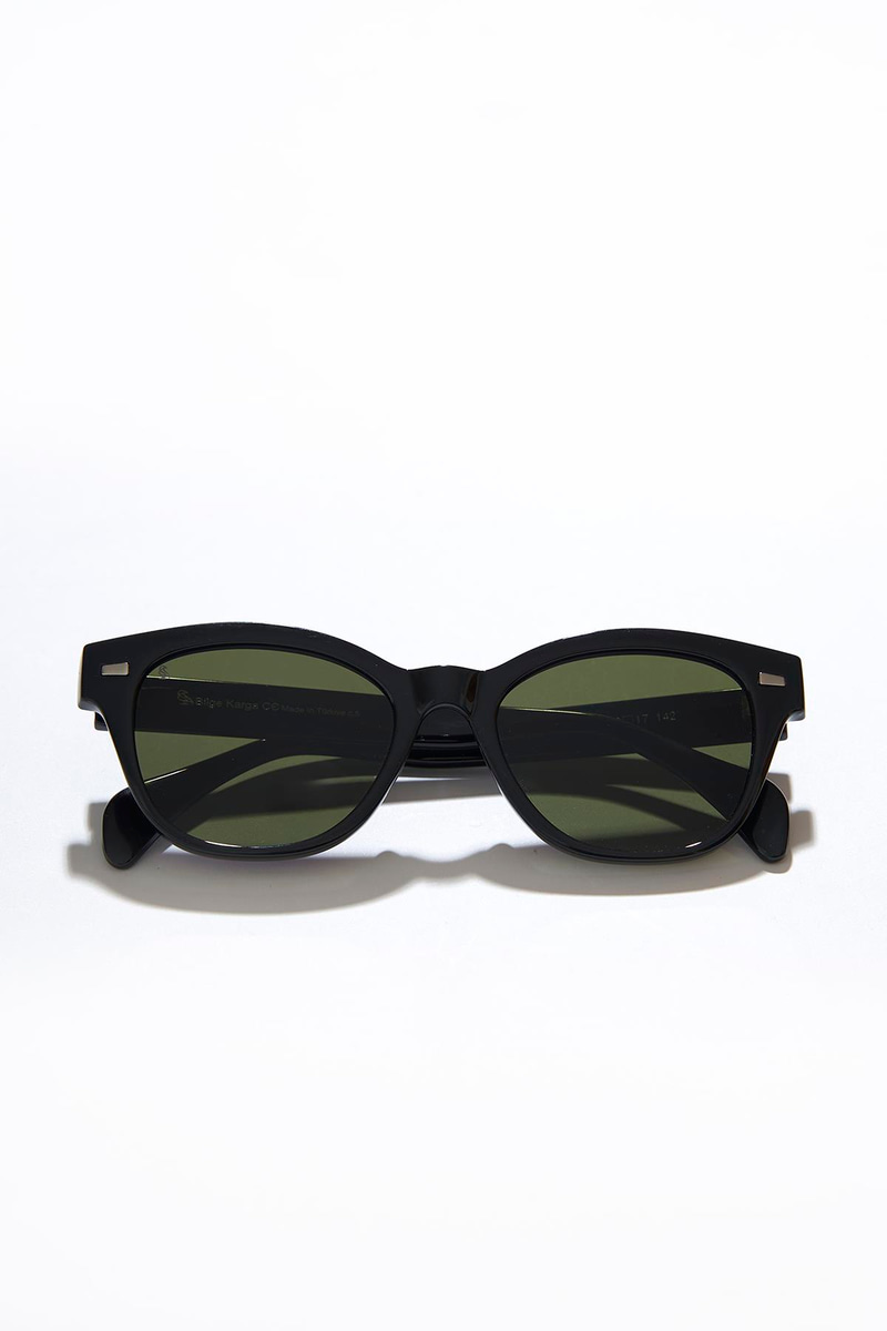 Edson Black Green Erkek Güneş Gözlüğü