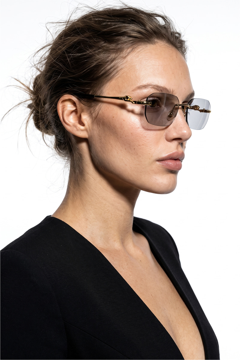 Elarion Gold Black Photochromic Güneş Gözlüğü