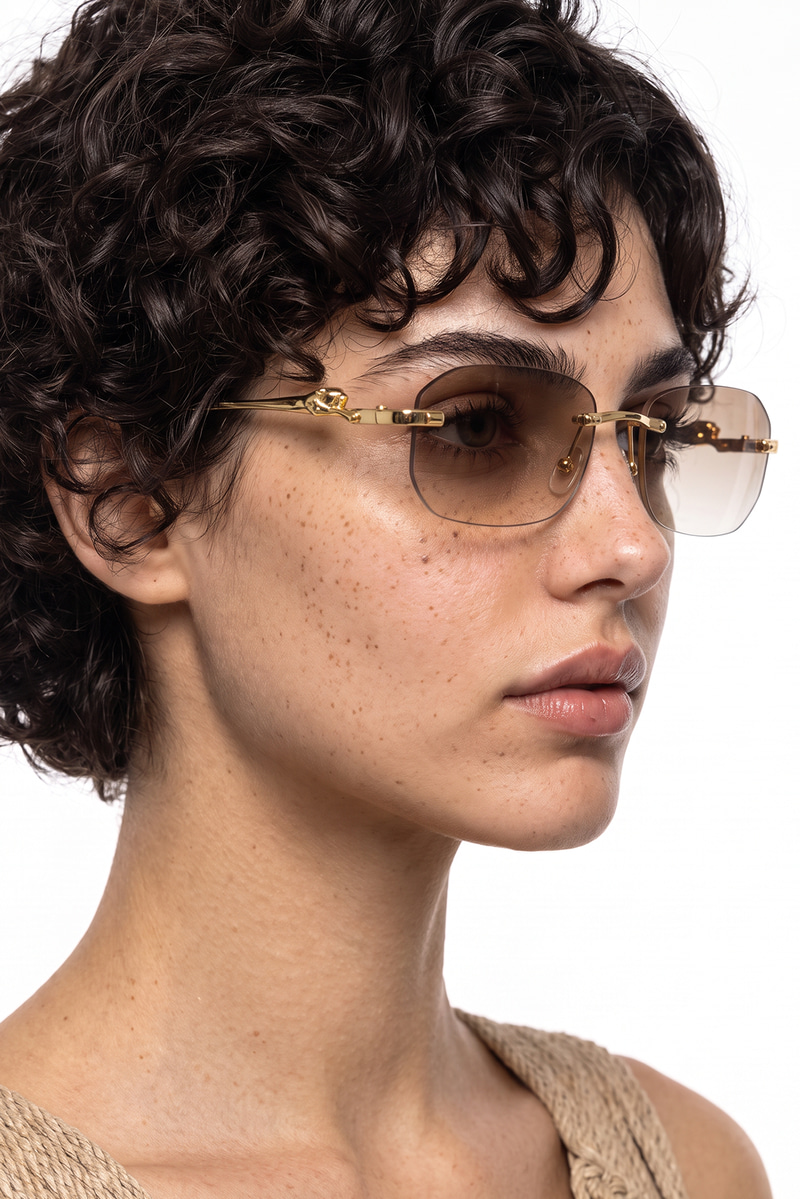 Elarion Gold Brown Degrade Photochromic Güneş Gözlüğü