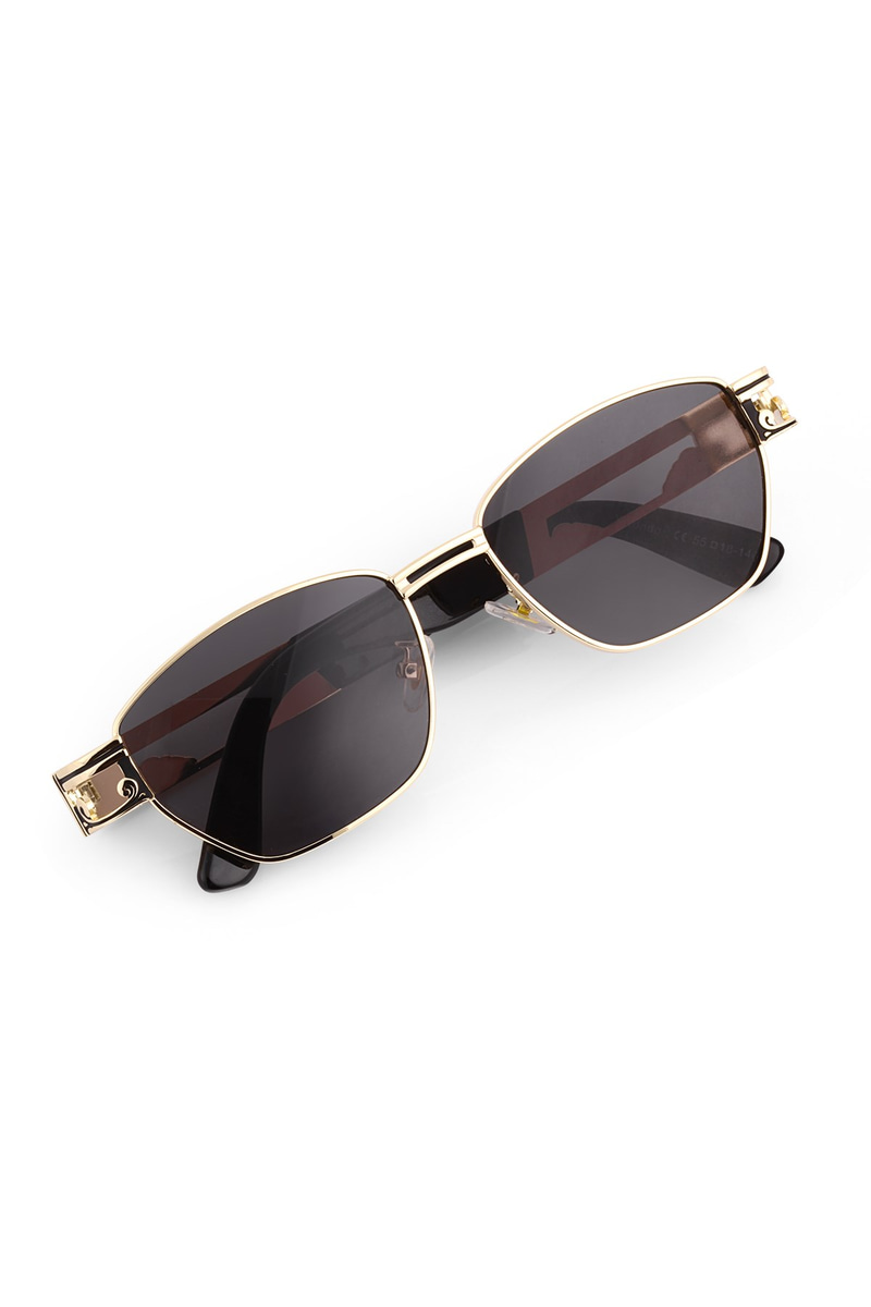 Eltina Gold Black Erkek Güneş Gözlüğü