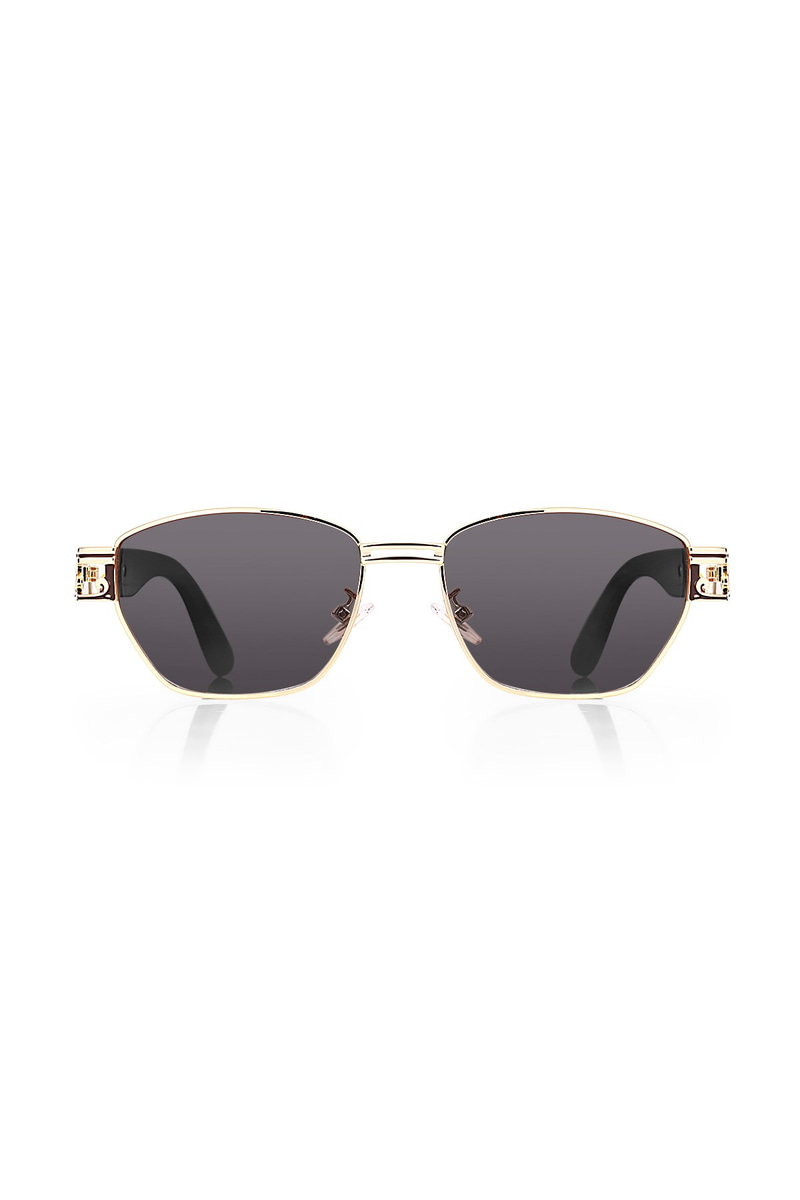 Eltina Gold Black Erkek Güneş Gözlüğü