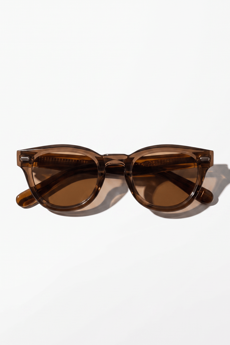 Valestria Brown Brown Erkek Güneş Gözlüğü