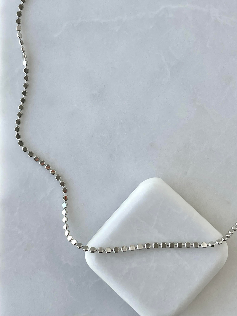 Çelik Orta Boy Ezme Pul Kolye 40 cm Gümüş