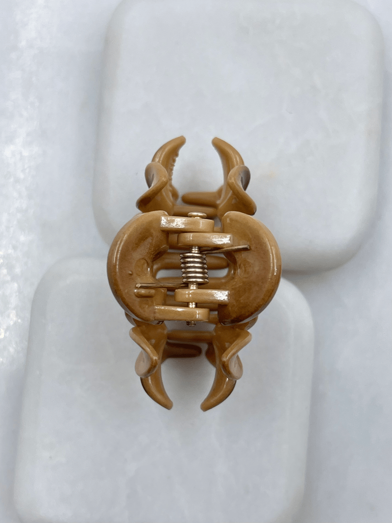 Minik Lotus Mandal Toka Camel