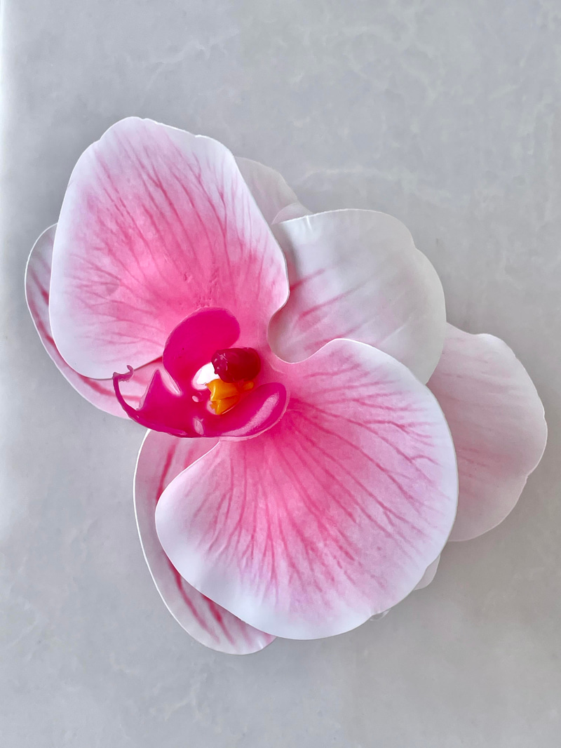 Pembe Orkide Mandal Toka