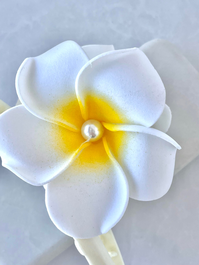 Manolya Mandal Toka