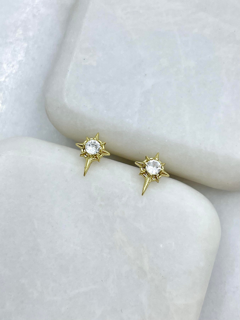 Özel Seri Minimal Kuzey Yıldızı Küpe Gold