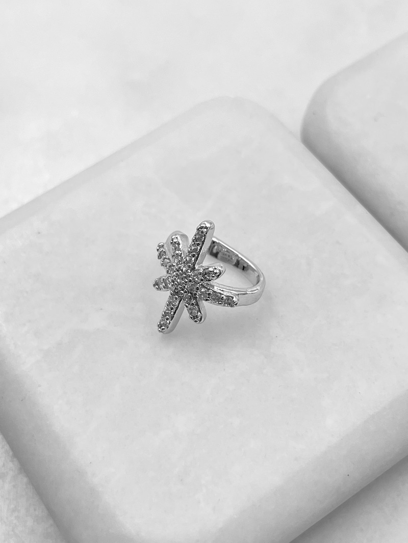 Gömme Taşlı Kuzey Yıldızı Kıkırdak Küpe Gümüş