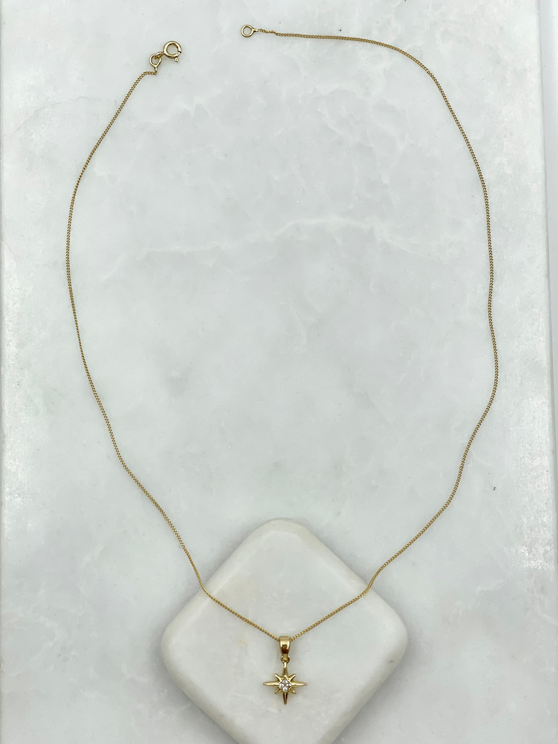 Özel Seri Minimal Kuzey Yıldızı Kolye Gold